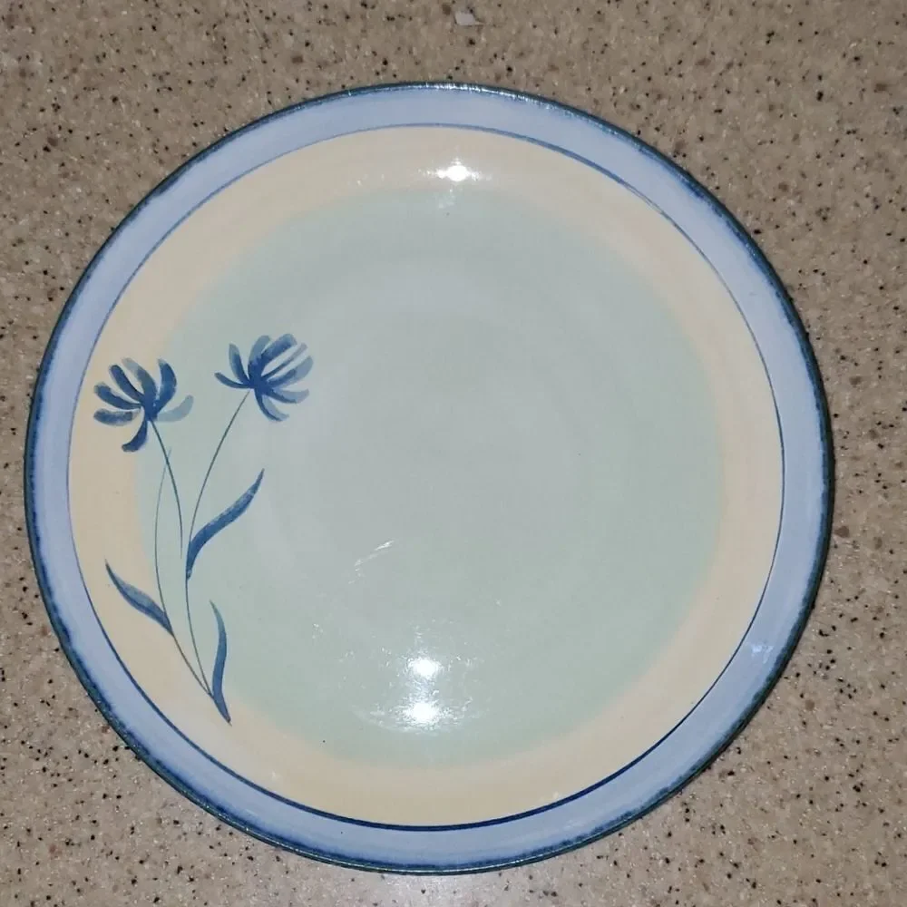 Pier 1 Imports Tranquility Dinner Plate